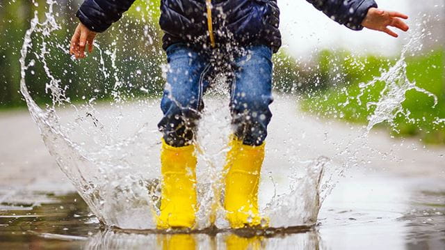 Rainproof gear; main